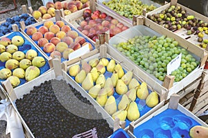 Vibrant and bustling market scene with an abundance of fresh fruit and produce for sale