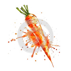 A vibrant carrot in watercolor with dynamic splashes