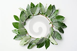 A vibrant circular arrangement of green leaves on a light background for fresh decor photo