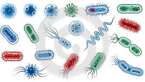 Diverse Microorganisms and Pathogens Vector Set