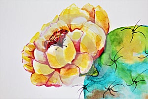 Watercolor Prickly Pear Cactus, Opuntia,  in Bloom