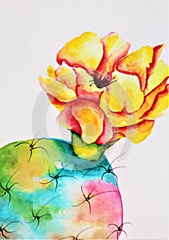 Watercolor Prickly Pear Cactus, Opuntia,  in Bloom