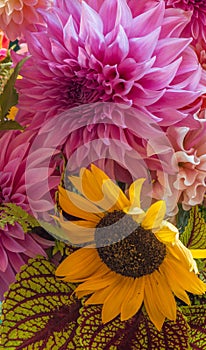 Vibrant colored dahlia and sunflower display