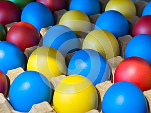 Vibrant colored eggs in carton tray, easter