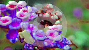 Vibrant Colorful floral plastic effect pink rain simulated blurry dreamy motion BG