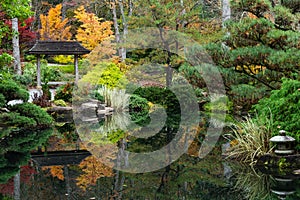 Colorful trees reflecting off the water in the Japanese Garden in autumn.