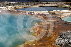 Vibrant colors around a hot spring in Yellowstone National Park