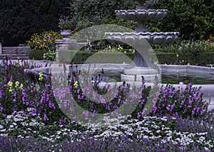 Vibrant Colors In Front Of the Fountain