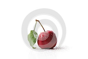 Vibrant crab apple with attached leaf isolated on a white background