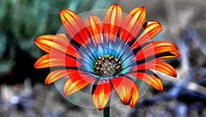 Vibrant daisy bouquet showcases natural beauty and summer freshness generated by AI