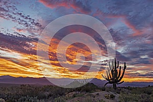 Vibrant Desert Sunrise Skies In North Scottsdale Arizona