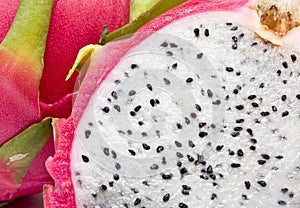Vibrant Dragon Fruit