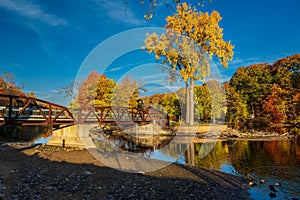 Vibrant fall colors surrounding the bridge in Island Park Grand Ledge, MI