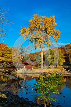 Vibrant fall colors surrounding in Island Park Grand Ledge, MI