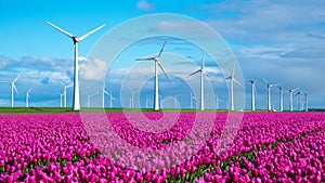 A vibrant field of tulips dances in the wind, with traditional windmills standing tall in the background against a clear