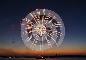 A vibrant firework explodes over a