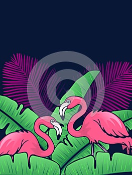 Vibrant flamingo background