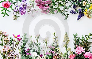 Vibrant Floral Arrangement Bordering a Blank White Background for Creative Design