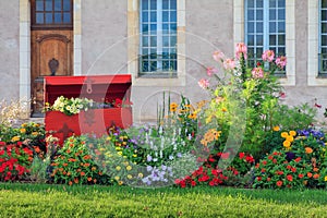 Vibrant flowers in Nevers