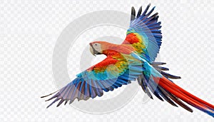 Vibrant, FreeSpirited Rainbow Macaw Soaring Against a Translucent Canvas in a Striking Work of Digital Art photo