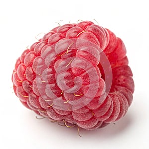Raspberry isolated on white background