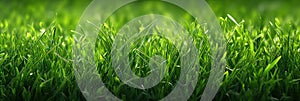 Vibrant Grass Background for Nature Designs AI Generated