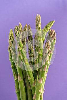 Vibrant green asparagus contrast beautifully against a rich purple background.