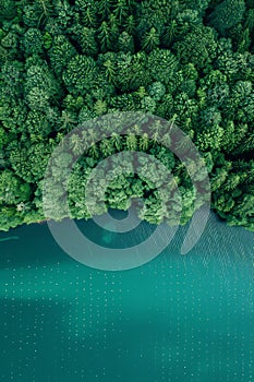 Vibrant green cultivated farmland by river aerial digital illustration with matte painting