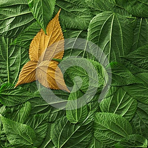 Vibrant green foliage with gold leaves. Concept for success at environmentally friendly goals, sustainability, or unique eco