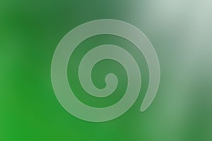 Smooth Green Gradient Background with Light Transition