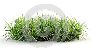 Vibrant Green Grass: A Refreshing Cut-Out Background for Your Designs - 3D Rendered