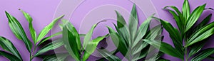 Vibrant Green Tropical Leaves Against a Purple Background Nature, Plant, and Botanical Concept Photography for Wall Art, Posters,