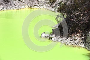 Vibrant green waters of the Devils pool in Rotorua New Zealan