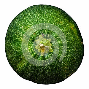 This vibrant green zucchini displays a smooth surface and distinctive star-shaped blossom end, perfect for culinary uses or photo