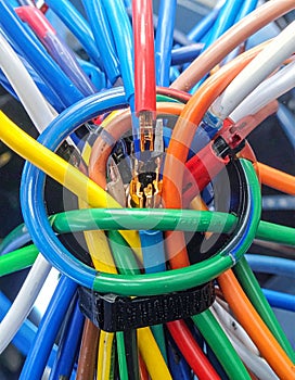 Vibrant Hub of Network Connectivity and Data Flow