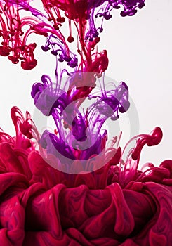 Vibrant ink splashes in water create a dynamic, organic shape against a white
