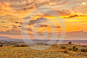 Vibrant landscape with nice skies