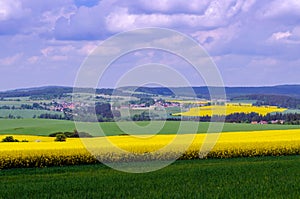 Vibrant landscape with field