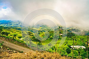 Vibrant landscape of Uvita, Costa Rica, with rolling hills and a farm under a foggy sky, showcasing the verdant