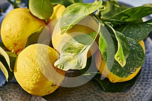 Vibrant lemons in bright sun on table