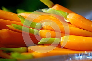 Vibrant miniature carrots