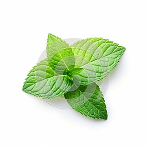 Vibrant Mint Leaf On White Background photo