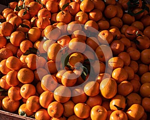 Vibrant orange box filled to the brim with juicy oranges ready for sale