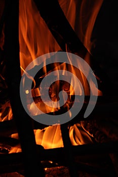 Vibrant orange flames blazing in a campfire