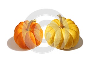 Vibrant Orange and Vivid Yellow Ripe Pumpkins Isolated on White Background