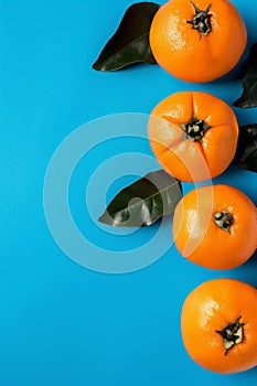Vibrant Oranges on Blue Background