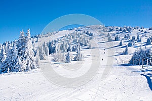 Vibrant panorama of the slope at ski resort Kopaonik, Serbia, people skiing, snow trees, blue sky