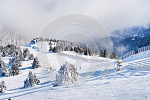 Vibrant panorama of the slope at ski resort Kopaonik, Serbia, snow trees, fog