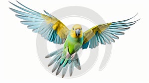 Vibrant Parakeet In Flight: Lifelike Renderings Of Nature-inspired Imagery