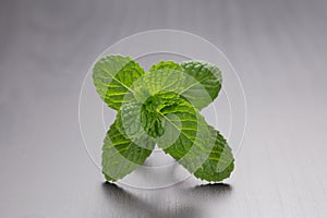 Aromatic peppermint leaf on sleek surface